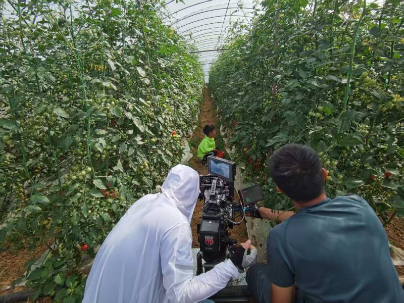 商河县产品宣传视频拍摄公司进阶指南，助力品牌抢占传播高地